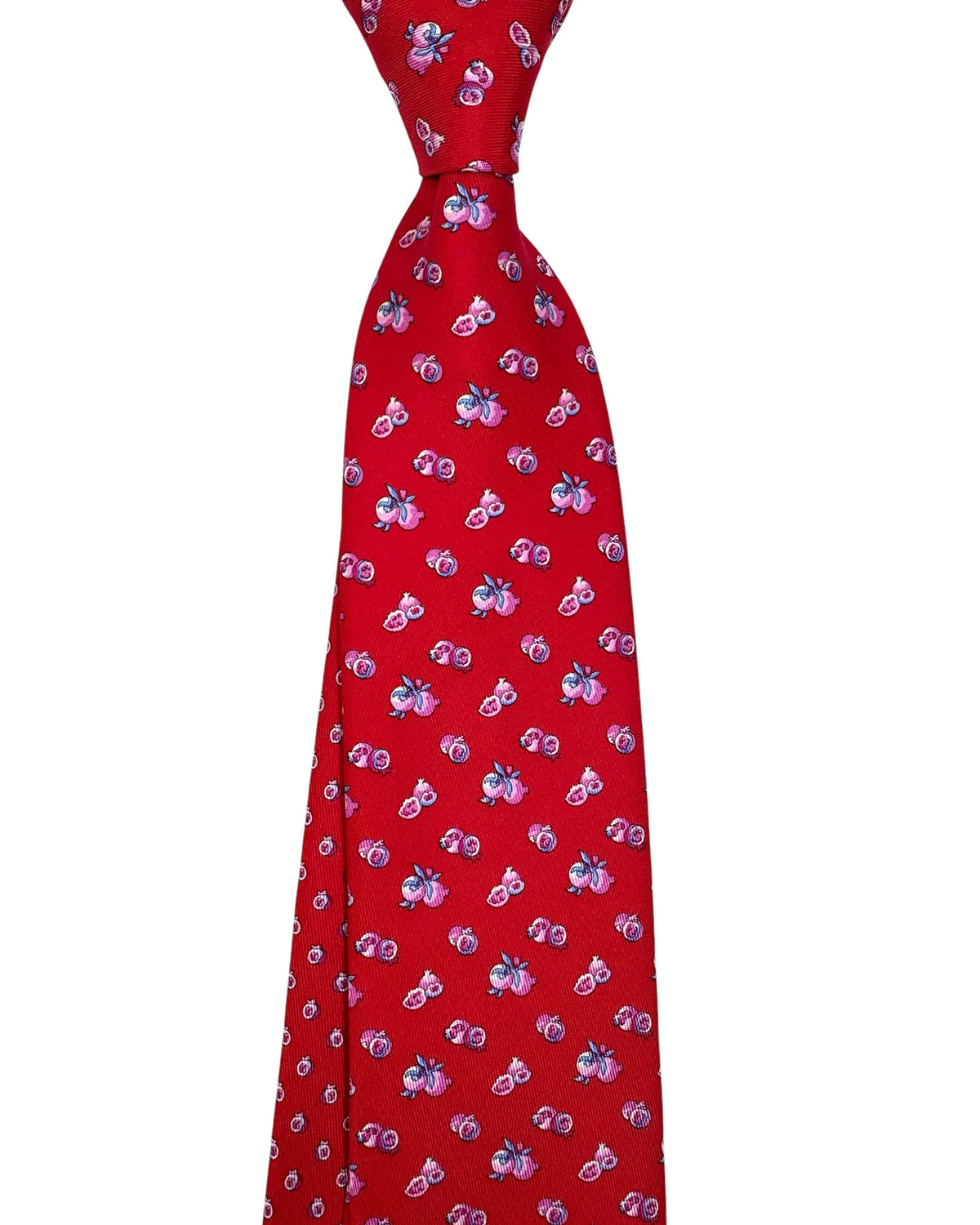 Salvatore Ferragamo Tie 