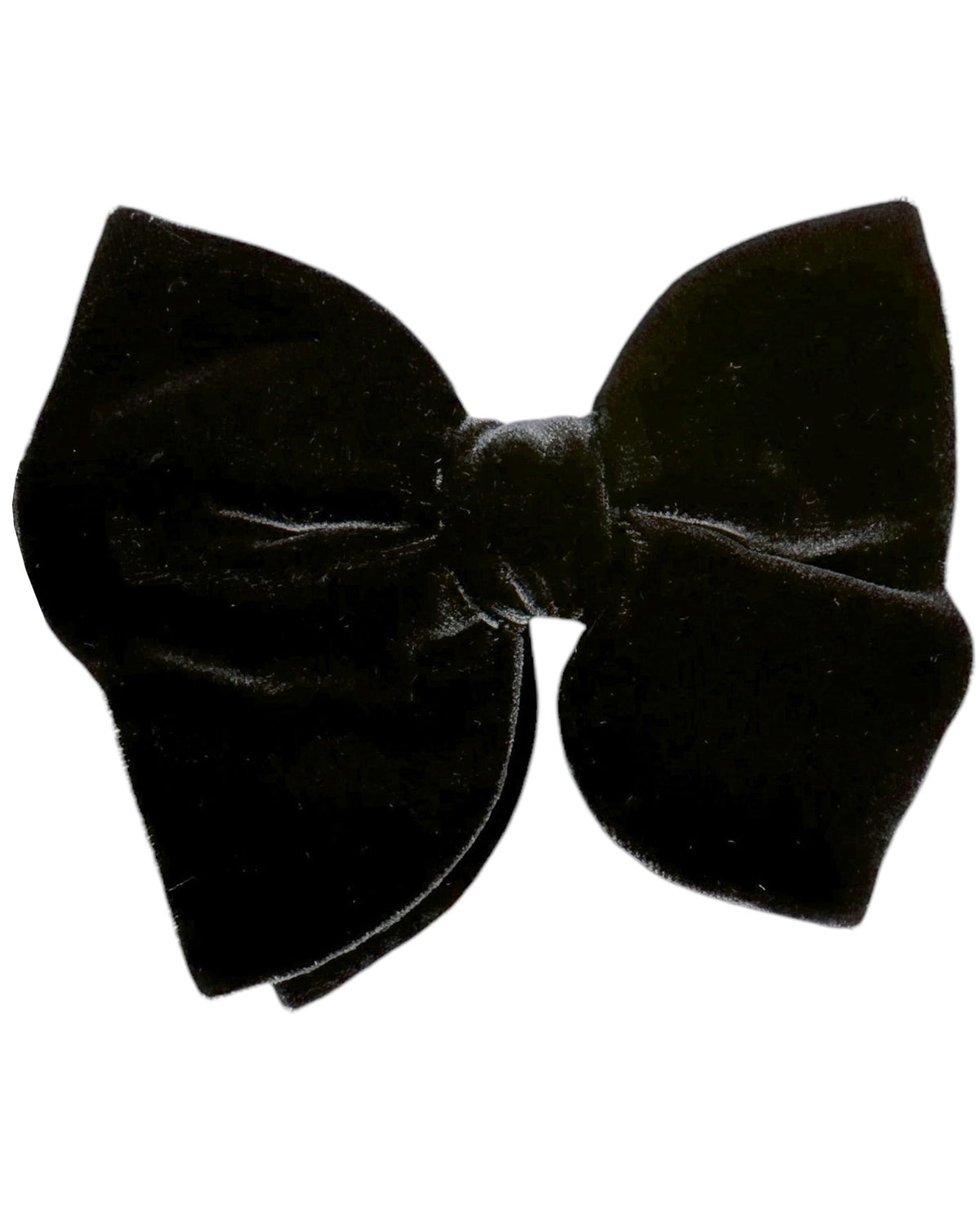 Le Noeud Papillon Dark Brown Velvet Bow Tie - Extra Large Pre-Tied Bow