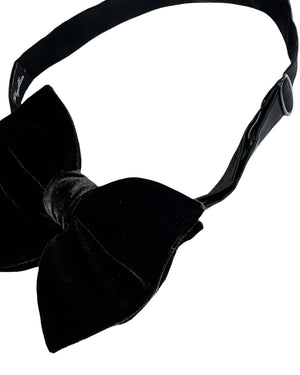 Bow tie