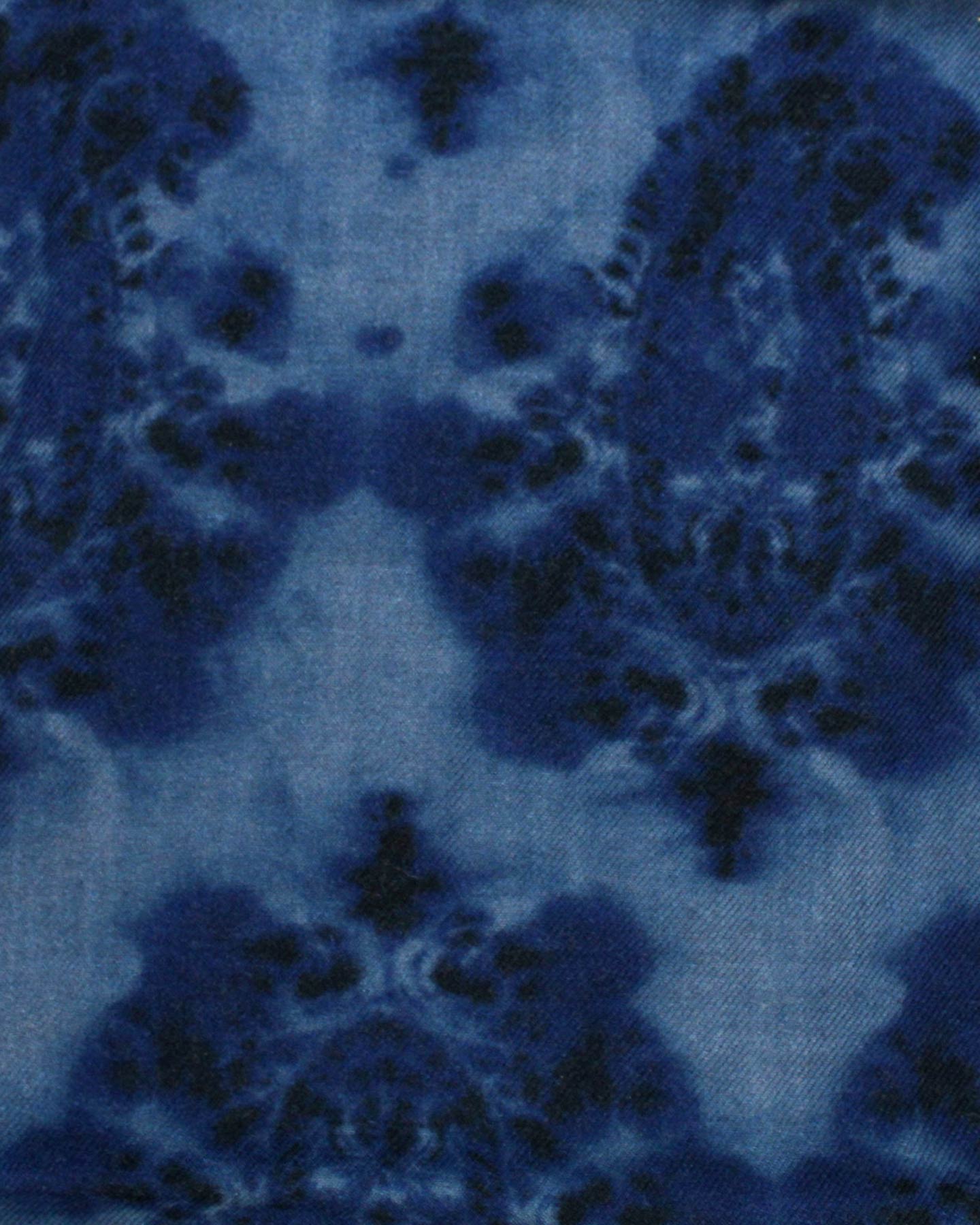 Sartorio Scarf Blue Paisley 