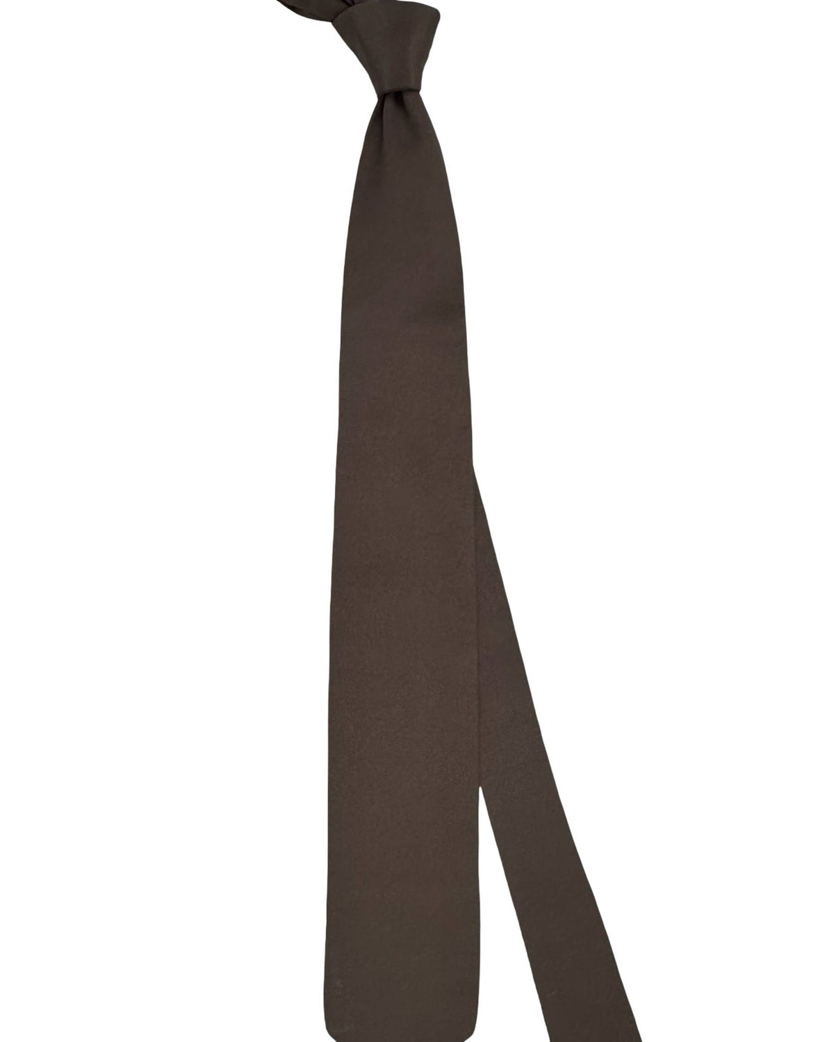 Ermenegildo Zegna Tie Brown Taupe Solid - XXX Couture - 2 Sided